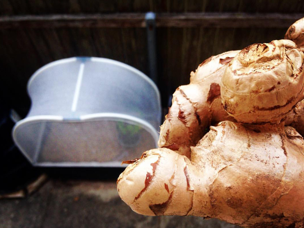 The humble Australian Vegepod
