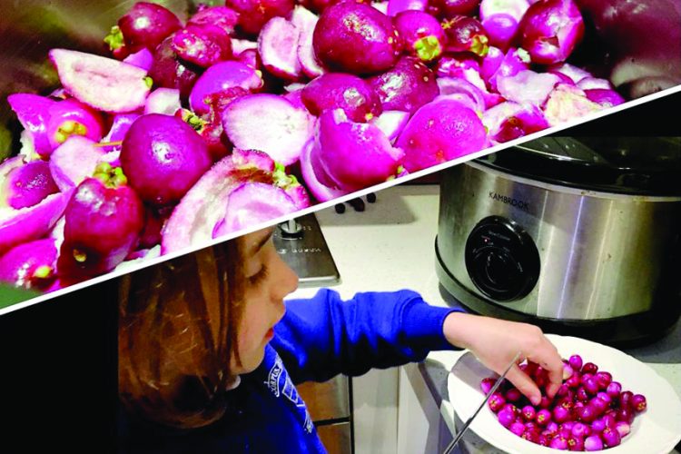Cook Your Crop: Sophia’s Lilly Pilly Jam