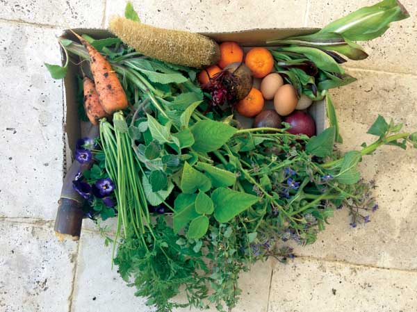 Moss House Sustainable Swap – Sept 11, 2016