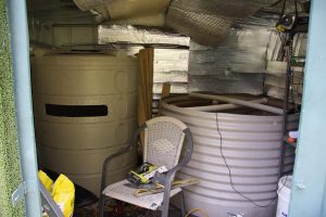 quaponics