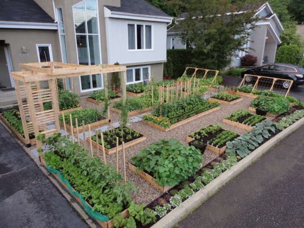 best-images-about-container-vegetable-gardens-on-pinterest-garden-the