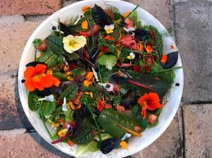 Edible Flower Salad