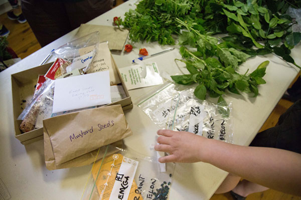 seedlibrary